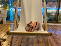 -天空花园餐吧·生日·团建(南山店)