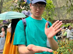 -野象谷景区