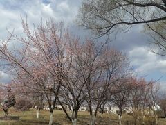 -长春世界雕塑园冰雪艺术天地