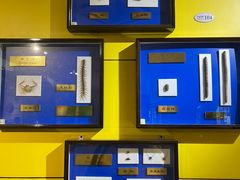 -上海昆虫博物馆