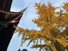 -万州烤鱼江湖菜(圣地阳光店)