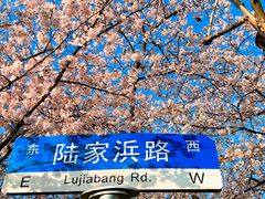 -南浦大桥长途旅游客运站
