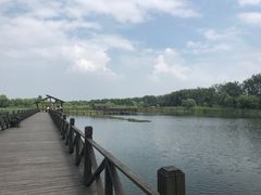 -溱湖国家湿地公园