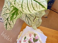 -5Cake五度无蔗糖低脂蛋糕(陶然亭店)