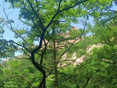-崂山巨峰游览区