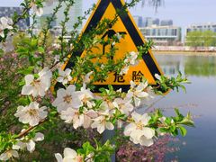 -大兴滨河森林公园