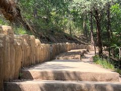 -北京西山国家森林公园