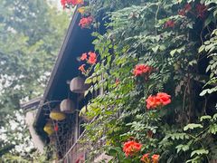 -河坊街景区