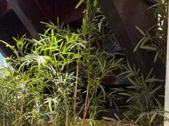 -西塘人家•黑金冠本地好店