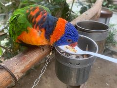 -南宫五洲植物乐园