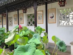 -南园(太仓市)