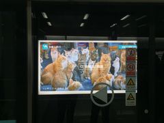 -麦当劳(壹购广场店)