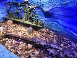 -酷嗒动物文化乐园(cutezoo西溪乐天城店)