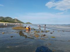 -浪琴湾度假村