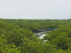 -北海金海湾红树林生态旅游区