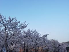 -龙美术馆(西岸馆)