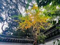 -秋霞圃