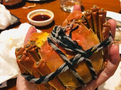 -重庆富力艾美酒店
