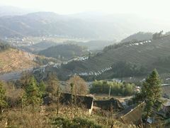 -紫鹊界梯田景区