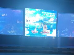 -重庆欢乐海底世界