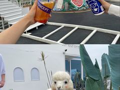 -Blue Concept Cafe&Farm·關於藍