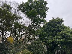 -金山公园