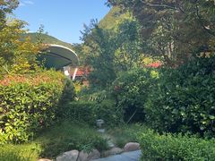 -麦积山温泉
