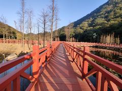 -广州市石门国家森林公园