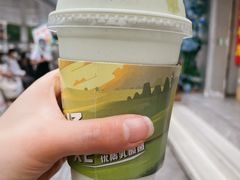 -茉酸奶(春熙路店)