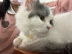 -平行世界·猫咖(首经贸店)