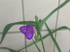 -石砭峪水库