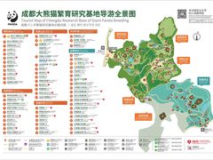 -成都大熊猫繁育研究基地