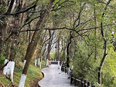 -天目湖山水园