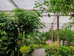 -南宫五洲植物乐园