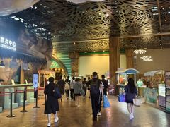 -杭州开元森泊度假乐园