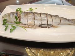 -金华安大酒楼·老牌潮菜·粤式茶点(东方国际店)