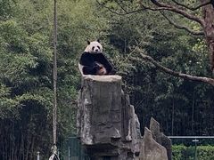 -宁波野生动物园