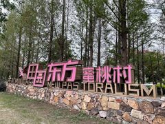 -田园东方蜜桃村的田野营地