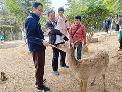 -观唐（国际）度假村温泉