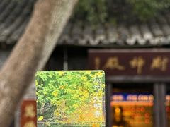 -大明寺素斋