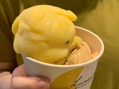 -LUNEURS月乐诗·法式冰淇淋(环贸店)