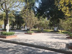 -攀枝花公园