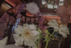 -派对猴生日派对策划(浦东店)