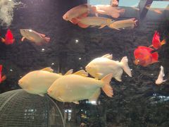 -弘安丽水温泉酒店