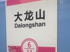 -大龙山(地铁站)