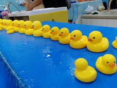 -楠木种子游泳馆(李沧万达店)
