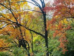 -少华山国家森林公园