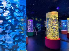 -顺德南宏海立方海洋公园