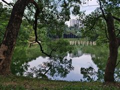 -中国科学院华南植物园