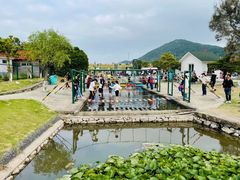 -乌石塘景区